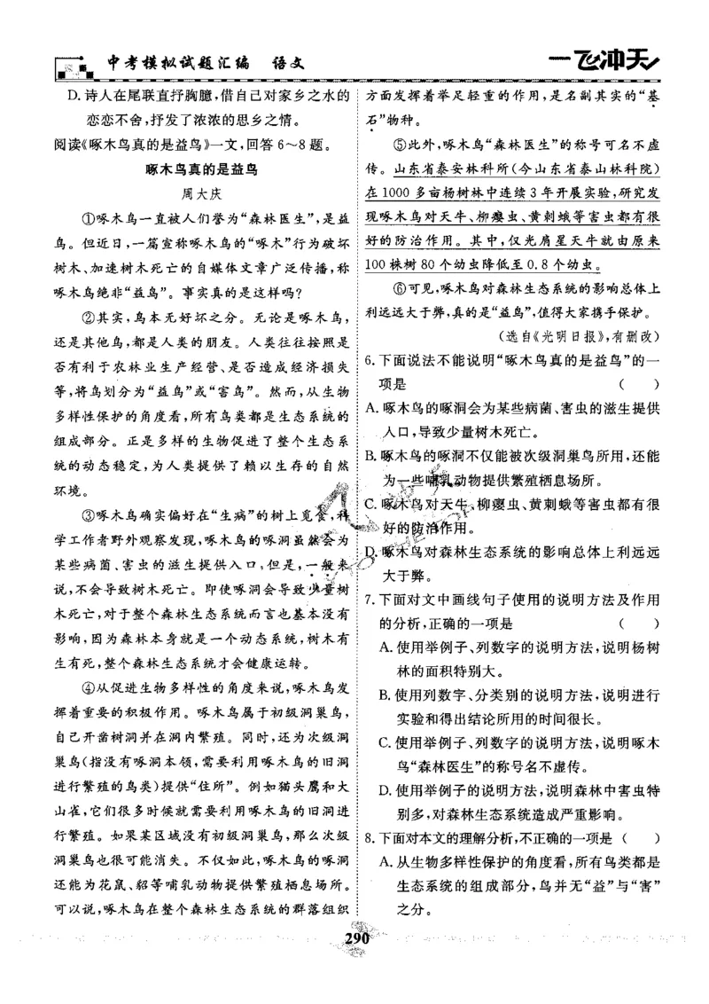 一飞冲天-中考模拟试题汇编-语文_《一飞冲天-中考专项》2026版_一飞冲天-中考模拟试题汇编（2024版）