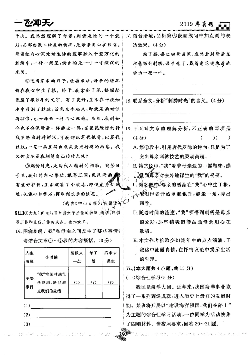 一飞冲天-中考模拟试题汇编-语文_《一飞冲天-中考专项》2026版_一飞冲天-中考模拟试题汇编（2024版）