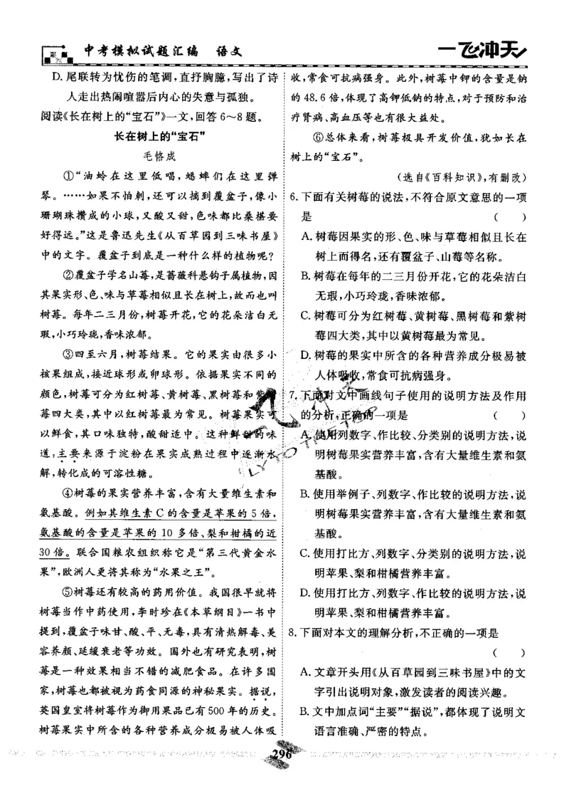 一飞冲天-中考模拟试题汇编-语文_《一飞冲天-中考专项》2026版_一飞冲天-中考模拟试题汇编（2024版）
