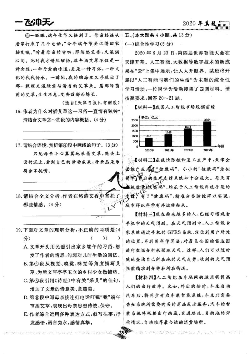一飞冲天-中考模拟试题汇编-语文_《一飞冲天-中考专项》2026版_一飞冲天-中考模拟试题汇编（2024版）