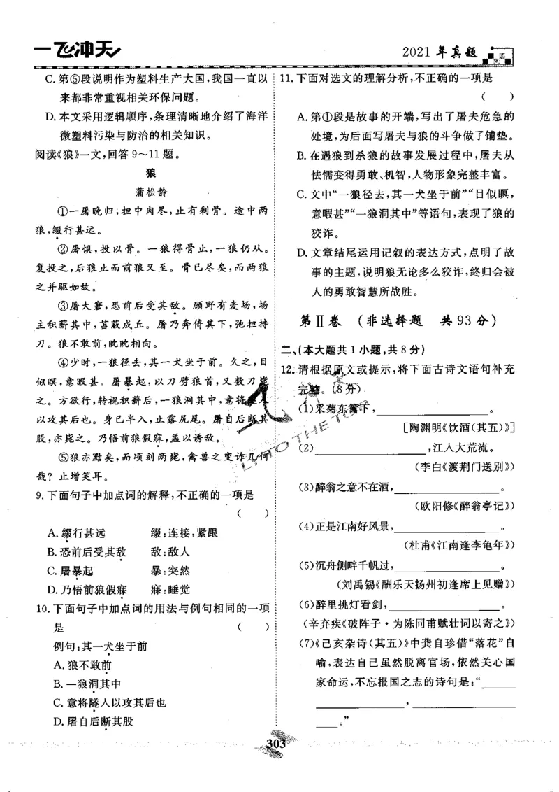 一飞冲天-中考模拟试题汇编-语文_《一飞冲天-中考专项》2026版_一飞冲天-中考模拟试题汇编（2024版）