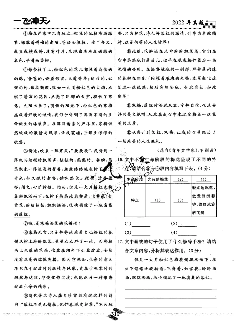 一飞冲天-中考模拟试题汇编-语文_《一飞冲天-中考专项》2026版_一飞冲天-中考模拟试题汇编（2024版）