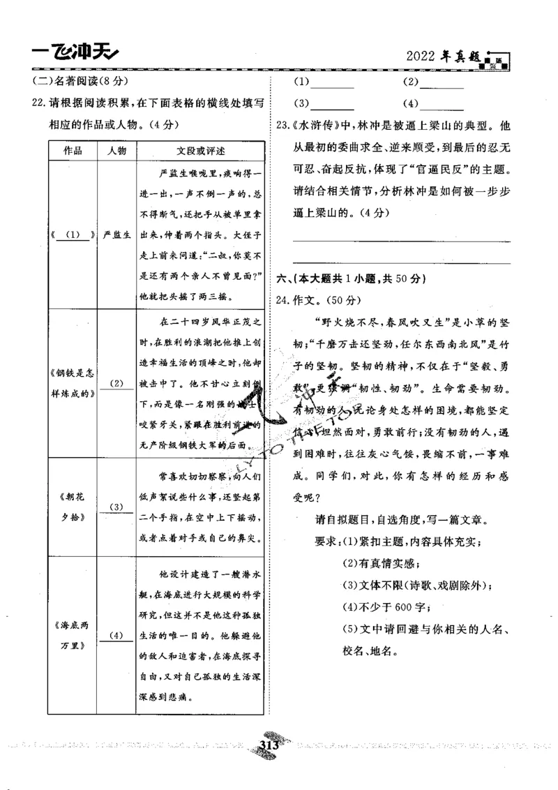 一飞冲天-中考模拟试题汇编-语文_《一飞冲天-中考专项》2026版_一飞冲天-中考模拟试题汇编（2024版）