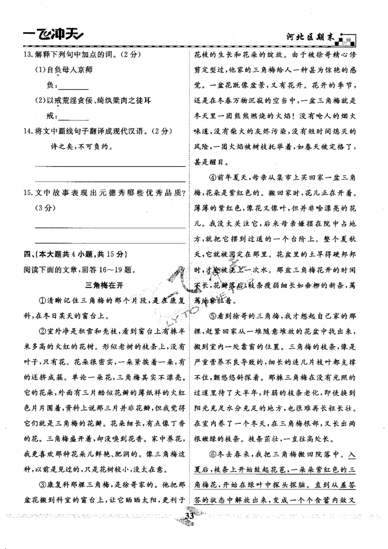 一飞冲天-中考模拟试题汇编-语文_《一飞冲天-中考专项》2026版_一飞冲天-中考模拟试题汇编（2024版）