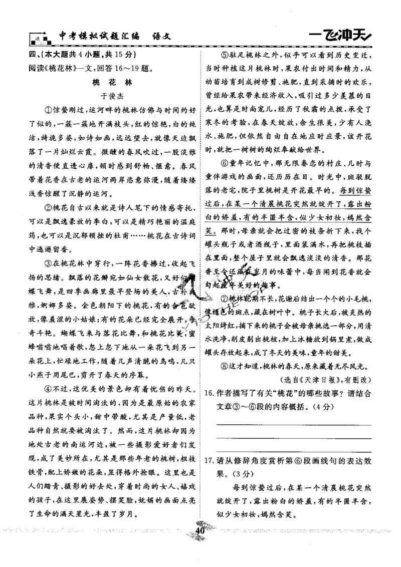 一飞冲天-中考模拟试题汇编-语文_《一飞冲天-中考专项》2026版_一飞冲天-中考模拟试题汇编（2024版）