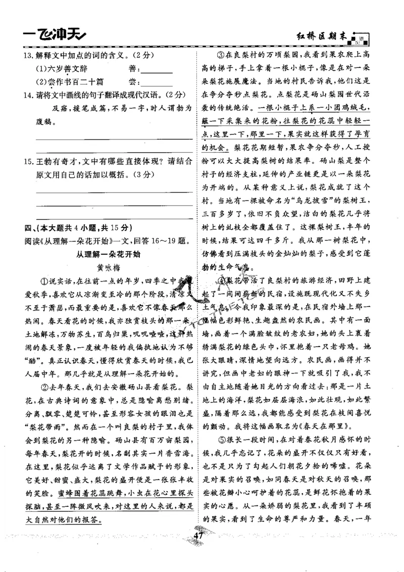一飞冲天-中考模拟试题汇编-语文_《一飞冲天-中考专项》2026版_一飞冲天-中考模拟试题汇编（2024版）