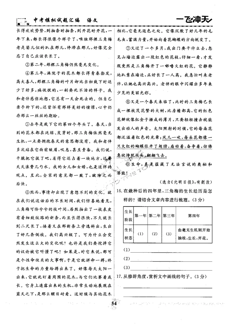 一飞冲天-中考模拟试题汇编-语文_《一飞冲天-中考专项》2026版_一飞冲天-中考模拟试题汇编（2024版）