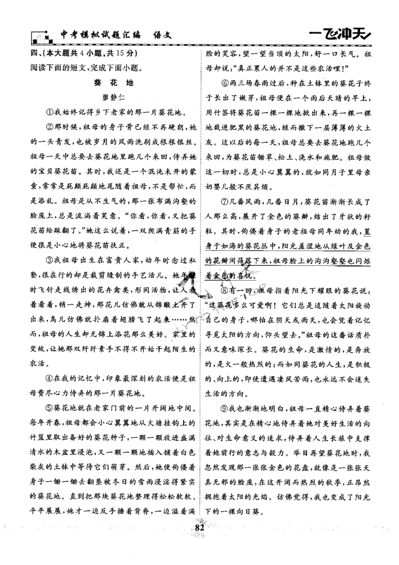 一飞冲天-中考模拟试题汇编-语文_《一飞冲天-中考专项》2026版_一飞冲天-中考模拟试题汇编（2024版）