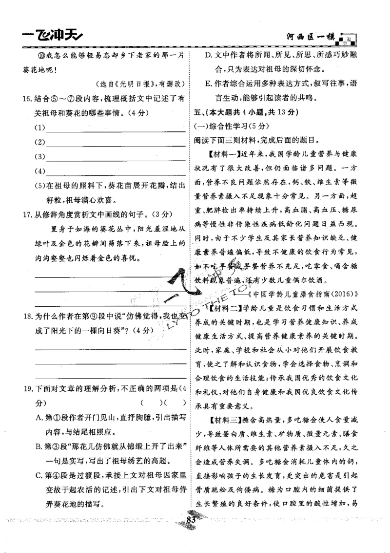 一飞冲天-中考模拟试题汇编-语文_《一飞冲天-中考专项》2026版_一飞冲天-中考模拟试题汇编（2024版）