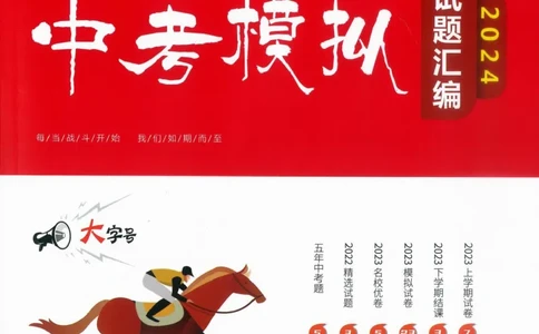 一飞冲天-中考模拟试题汇编-语文_《一飞冲天-中考专项》2026版_一飞冲天-中考模拟试题汇编（2024版）