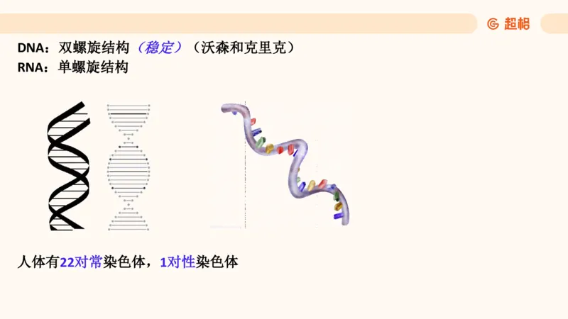科技常识1_教资_CG26上教资笔试中学_0126上中学-综合素质（更新中）_06文化素养狂刷1000题_讲义
