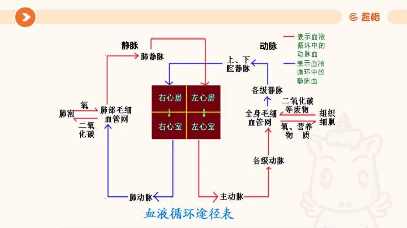 科技常识1_教资_CG26上教资笔试中学_0126上中学-综合素质（更新中）_06文化素养狂刷1000题_讲义