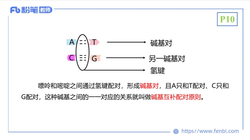 1.16晚-分子生物学2-拾光_4-教培资料-26年最新资料-同步更新_科一科二电子资料合集中小幼（笔记真题知识点汇总等）文件多，按需保存_各机构笔记合集（中小幼）推荐_01理论精讲