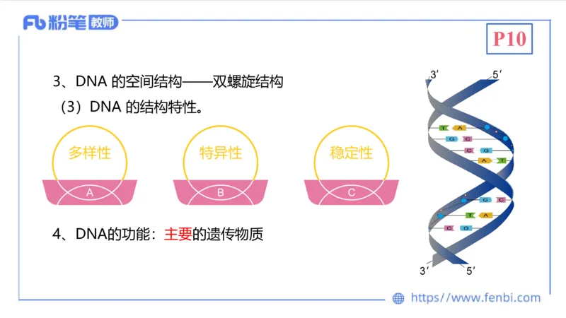 1.16晚-分子生物学2-拾光_4-教培资料-26年最新资料-同步更新_科一科二电子资料合集中小幼（笔记真题知识点汇总等）文件多，按需保存_各机构笔记合集（中小幼）推荐_01理论精讲