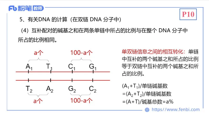 1.16晚-分子生物学2-拾光_4-教培资料-26年最新资料-同步更新_科一科二电子资料合集中小幼（笔记真题知识点汇总等）文件多，按需保存_各机构笔记合集（中小幼）推荐_01理论精讲