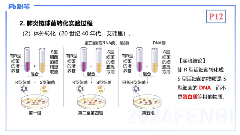 1.16晚-分子生物学2-拾光_4-教培资料-26年最新资料-同步更新_科一科二电子资料合集中小幼（笔记真题知识点汇总等）文件多，按需保存_各机构笔记合集（中小幼）推荐_01理论精讲