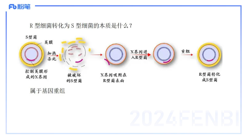 1.16晚-分子生物学2-拾光_4-教培资料-26年最新资料-同步更新_科一科二电子资料合集中小幼（笔记真题知识点汇总等）文件多，按需保存_各机构笔记合集（中小幼）推荐_01理论精讲
