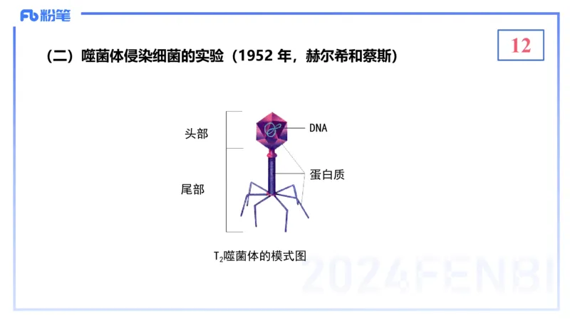 1.16晚-分子生物学2-拾光_4-教培资料-26年最新资料-同步更新_科一科二电子资料合集中小幼（笔记真题知识点汇总等）文件多，按需保存_各机构笔记合集（中小幼）推荐_01理论精讲