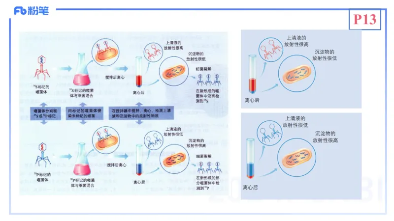 1.16晚-分子生物学2-拾光_4-教培资料-26年最新资料-同步更新_科一科二电子资料合集中小幼（笔记真题知识点汇总等）文件多，按需保存_各机构笔记合集（中小幼）推荐_01理论精讲