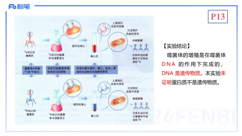 1.16晚-分子生物学2-拾光_4-教培资料-26年最新资料-同步更新_科一科二电子资料合集中小幼（笔记真题知识点汇总等）文件多，按需保存_各机构笔记合集（中小幼）推荐_01理论精讲
