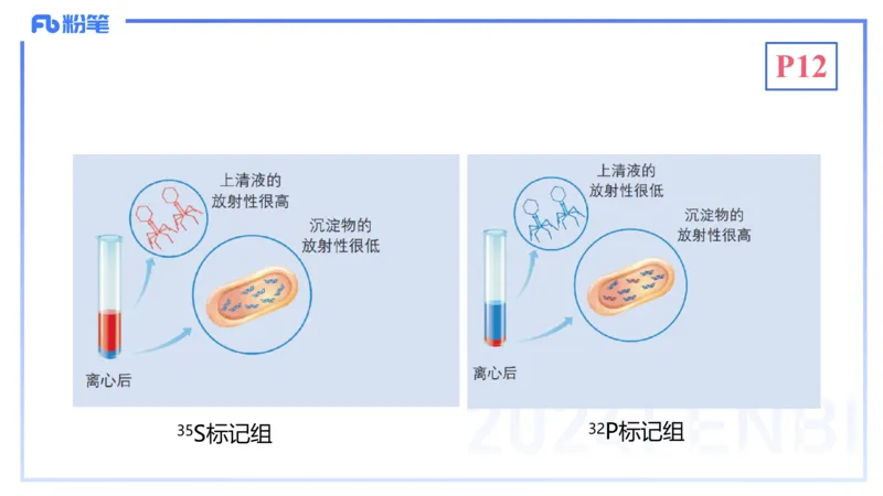 1.16晚-分子生物学2-拾光_4-教培资料-26年最新资料-同步更新_科一科二电子资料合集中小幼（笔记真题知识点汇总等）文件多，按需保存_各机构笔记合集（中小幼）推荐_01理论精讲