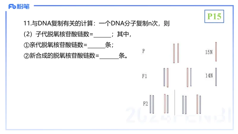 1.16晚-分子生物学2-拾光_4-教培资料-26年最新资料-同步更新_科一科二电子资料合集中小幼（笔记真题知识点汇总等）文件多，按需保存_各机构笔记合集（中小幼）推荐_01理论精讲