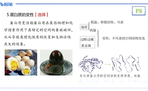 1.16晚-分子生物学2-拾光_4-教培资料-26年最新资料-同步更新_科一科二电子资料合集中小幼（笔记真题知识点汇总等）文件多，按需保存_各机构笔记合集（中小幼）推荐_01理论精讲