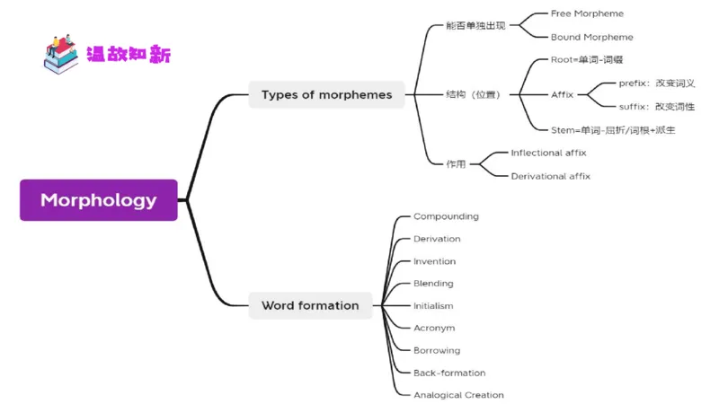1.25晚-理论精讲-语言学4-李婉君_4-教培资料-26年最新资料-同步更新_科一科二电子资料合集中小幼（笔记真题知识点汇总等）文件多，按需保存_各机构笔记合集（中小幼）推荐_讲义