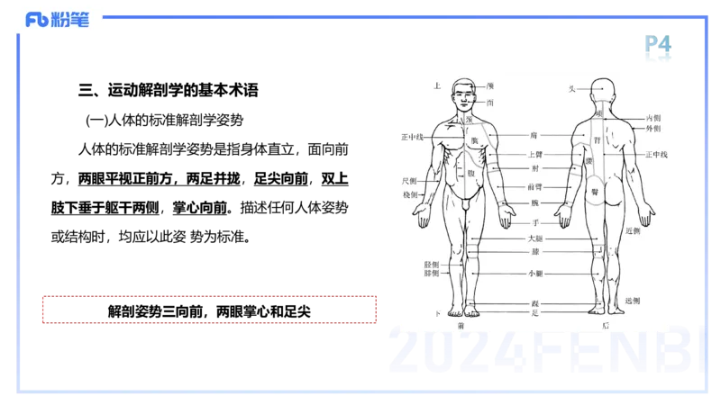 1.15-理论精讲-运动解剖学1-王传世_4-教培资料-26年最新资料-同步更新_科一科二电子资料合集中小幼（笔记真题知识点汇总等）文件多，按需保存_各机构笔记合集（中小幼）推荐