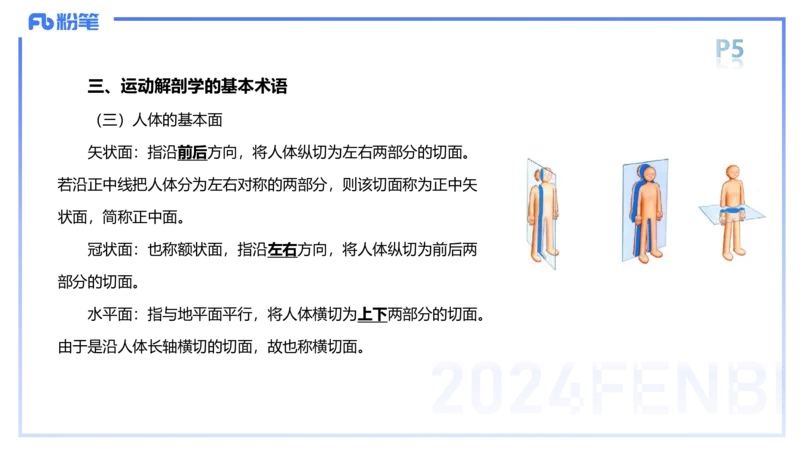 1.15-理论精讲-运动解剖学1-王传世_4-教培资料-26年最新资料-同步更新_科一科二电子资料合集中小幼（笔记真题知识点汇总等）文件多，按需保存_各机构笔记合集（中小幼）推荐