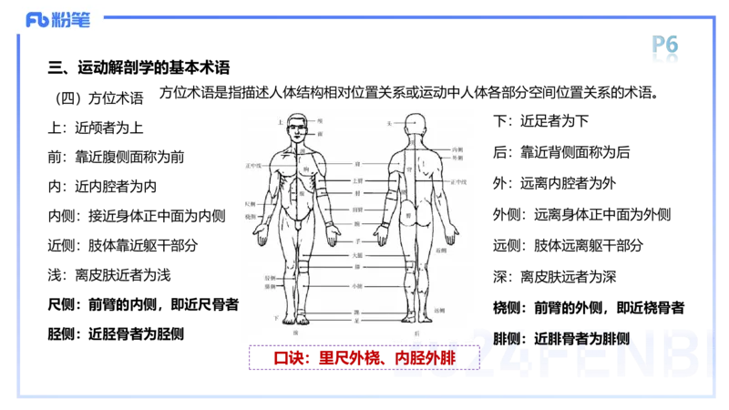 1.15-理论精讲-运动解剖学1-王传世_4-教培资料-26年最新资料-同步更新_科一科二电子资料合集中小幼（笔记真题知识点汇总等）文件多，按需保存_各机构笔记合集（中小幼）推荐