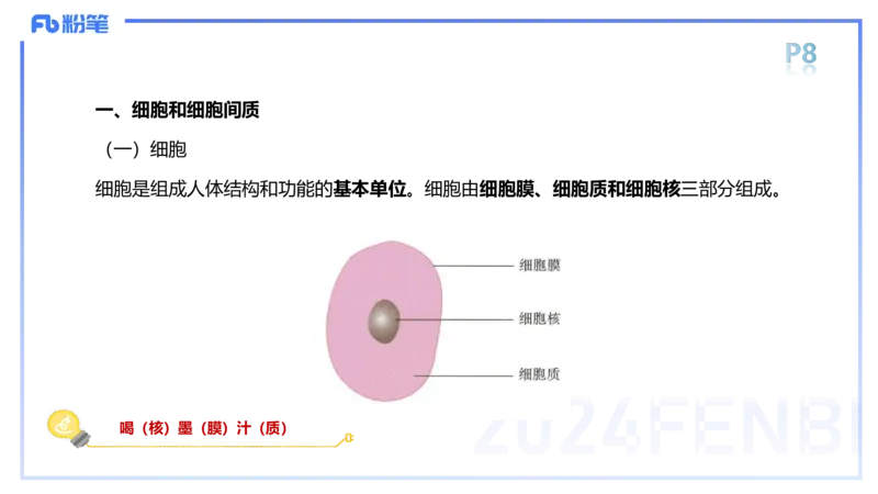 1.15-理论精讲-运动解剖学1-王传世_4-教培资料-26年最新资料-同步更新_科一科二电子资料合集中小幼（笔记真题知识点汇总等）文件多，按需保存_各机构笔记合集（中小幼）推荐