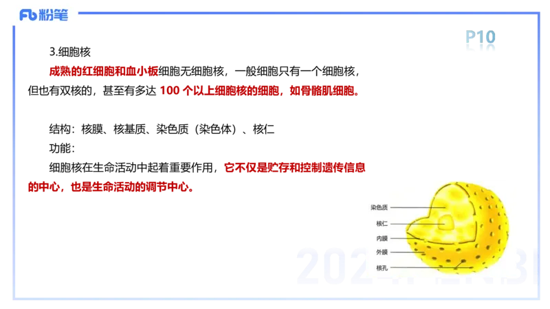 1.15-理论精讲-运动解剖学1-王传世_4-教培资料-26年最新资料-同步更新_科一科二电子资料合集中小幼（笔记真题知识点汇总等）文件多，按需保存_各机构笔记合集（中小幼）推荐
