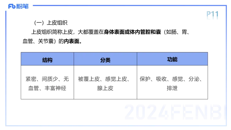 1.15-理论精讲-运动解剖学1-王传世_4-教培资料-26年最新资料-同步更新_科一科二电子资料合集中小幼（笔记真题知识点汇总等）文件多，按需保存_各机构笔记合集（中小幼）推荐