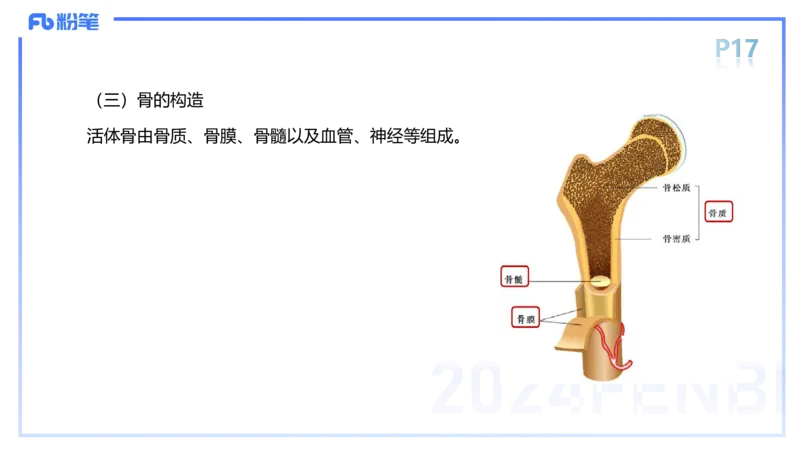 1.15-理论精讲-运动解剖学1-王传世_4-教培资料-26年最新资料-同步更新_科一科二电子资料合集中小幼（笔记真题知识点汇总等）文件多，按需保存_各机构笔记合集（中小幼）推荐