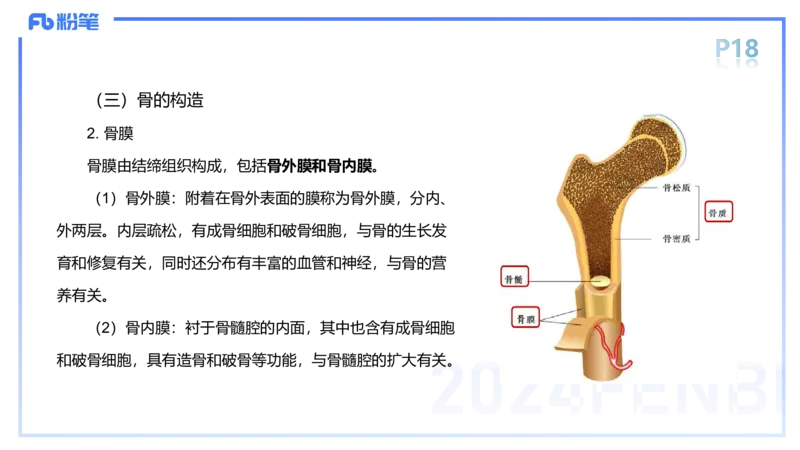 1.15-理论精讲-运动解剖学1-王传世_4-教培资料-26年最新资料-同步更新_科一科二电子资料合集中小幼（笔记真题知识点汇总等）文件多，按需保存_各机构笔记合集（中小幼）推荐