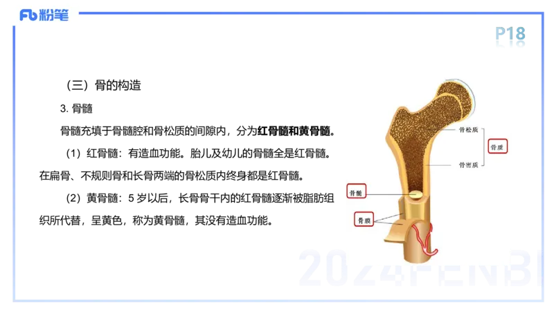 1.15-理论精讲-运动解剖学1-王传世_4-教培资料-26年最新资料-同步更新_科一科二电子资料合集中小幼（笔记真题知识点汇总等）文件多，按需保存_各机构笔记合集（中小幼）推荐