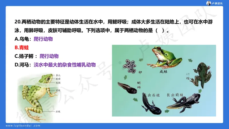 2.25中小学科一三套卷（一）&middot;讲解_4-教培资料-26年最新资料-同步更新_初中高中教资_2025上中学教资笔试_0525上急救班卢姨（中学科一科二）_25上中学科一急救班