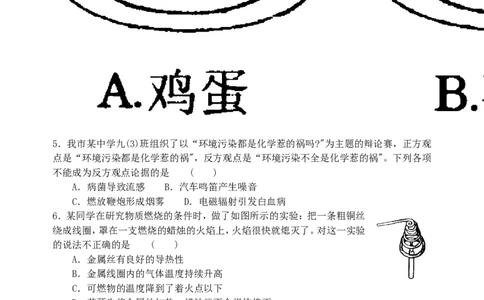2009年滨州中考化学试题及答案_中考真题_5.化学中考真题2015-2024年_地区卷_山东省_山东滨州化学09-22