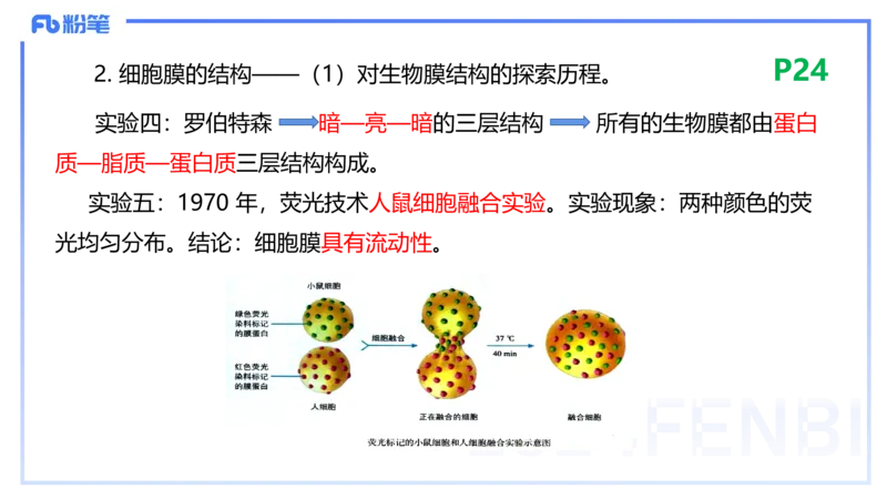 1.18晚-细胞生物学1-拾光_4-教培资料-26年最新资料-同步更新_科一科二电子资料合集中小幼（笔记真题知识点汇总等）文件多，按需保存_各机构笔记合集（中小幼）推荐_01理论精讲