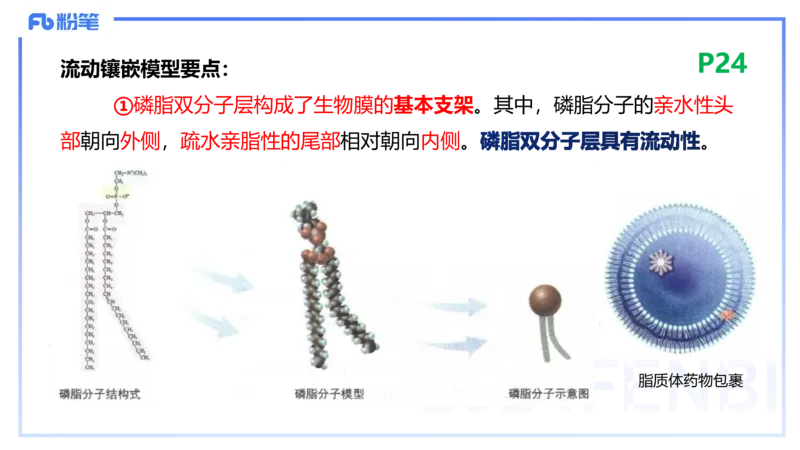 1.18晚-细胞生物学1-拾光_4-教培资料-26年最新资料-同步更新_科一科二电子资料合集中小幼（笔记真题知识点汇总等）文件多，按需保存_各机构笔记合集（中小幼）推荐_01理论精讲