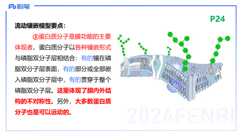 1.18晚-细胞生物学1-拾光_4-教培资料-26年最新资料-同步更新_科一科二电子资料合集中小幼（笔记真题知识点汇总等）文件多，按需保存_各机构笔记合集（中小幼）推荐_01理论精讲