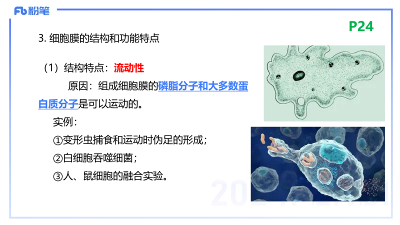 1.18晚-细胞生物学1-拾光_4-教培资料-26年最新资料-同步更新_科一科二电子资料合集中小幼（笔记真题知识点汇总等）文件多，按需保存_各机构笔记合集（中小幼）推荐_01理论精讲