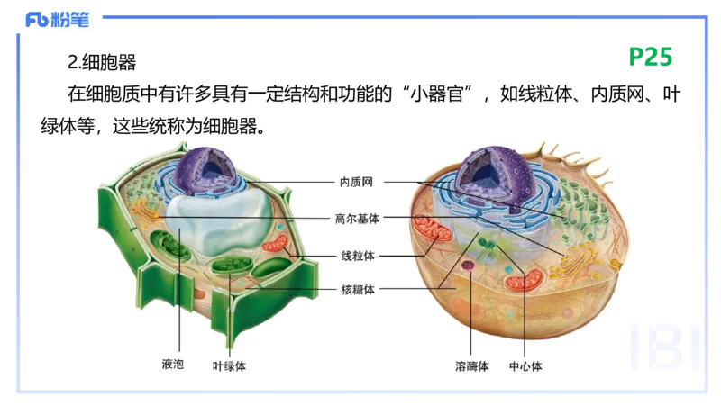 1.18晚-细胞生物学1-拾光_4-教培资料-26年最新资料-同步更新_科一科二电子资料合集中小幼（笔记真题知识点汇总等）文件多，按需保存_各机构笔记合集（中小幼）推荐_01理论精讲