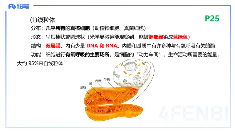 1.18晚-细胞生物学1-拾光_4-教培资料-26年最新资料-同步更新_科一科二电子资料合集中小幼（笔记真题知识点汇总等）文件多，按需保存_各机构笔记合集（中小幼）推荐_01理论精讲