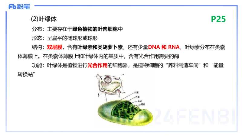 1.18晚-细胞生物学1-拾光_4-教培资料-26年最新资料-同步更新_科一科二电子资料合集中小幼（笔记真题知识点汇总等）文件多，按需保存_各机构笔记合集（中小幼）推荐_01理论精讲