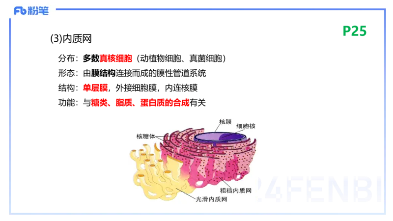 1.18晚-细胞生物学1-拾光_4-教培资料-26年最新资料-同步更新_科一科二电子资料合集中小幼（笔记真题知识点汇总等）文件多，按需保存_各机构笔记合集（中小幼）推荐_01理论精讲