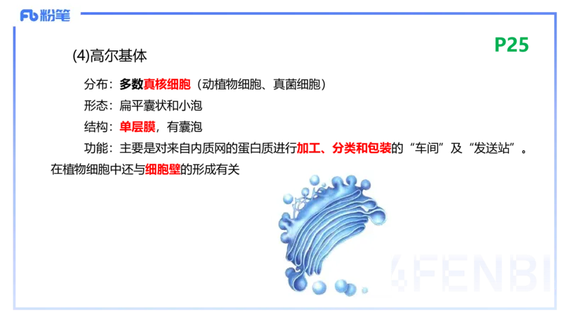 1.18晚-细胞生物学1-拾光_4-教培资料-26年最新资料-同步更新_科一科二电子资料合集中小幼（笔记真题知识点汇总等）文件多，按需保存_各机构笔记合集（中小幼）推荐_01理论精讲