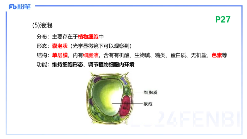 1.18晚-细胞生物学1-拾光_4-教培资料-26年最新资料-同步更新_科一科二电子资料合集中小幼（笔记真题知识点汇总等）文件多，按需保存_各机构笔记合集（中小幼）推荐_01理论精讲