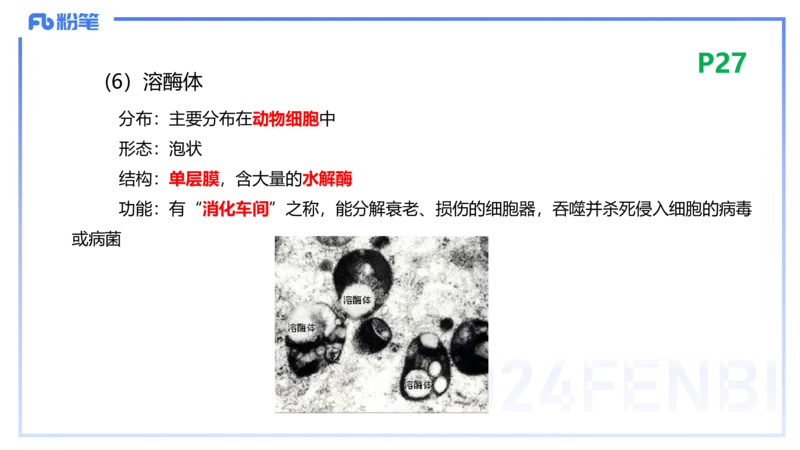 1.18晚-细胞生物学1-拾光_4-教培资料-26年最新资料-同步更新_科一科二电子资料合集中小幼（笔记真题知识点汇总等）文件多，按需保存_各机构笔记合集（中小幼）推荐_01理论精讲